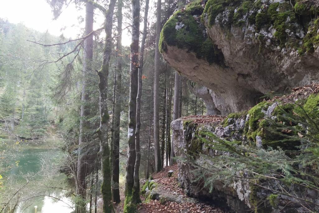Gite Du Fourperet-Parc Naturel Du Haut-Jura Longevilles-Mont-dʼOr Zewnętrze zdjęcie